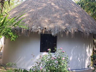 Tribal cottage 30 km.  from Udaipur 
