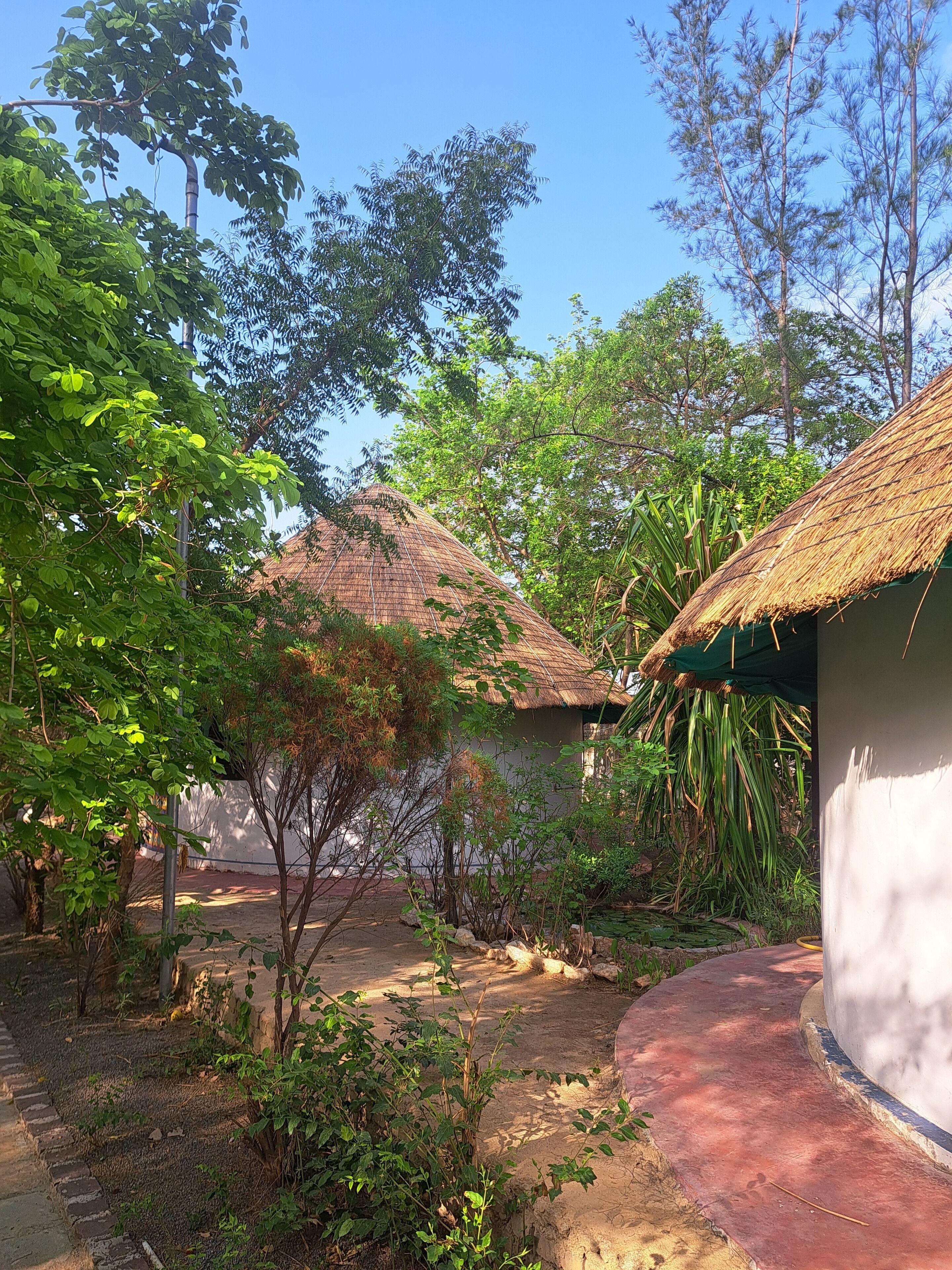 Jardines del alojamiento