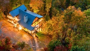 A modern house with a blue roof, surrounded by dense forest. - Summit-Level Luxury: Views, Hot Tub, Games and 15 minutes to town! (Blue Ridge)