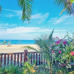 Playa privada, sombrillas, snorkel, windsurf