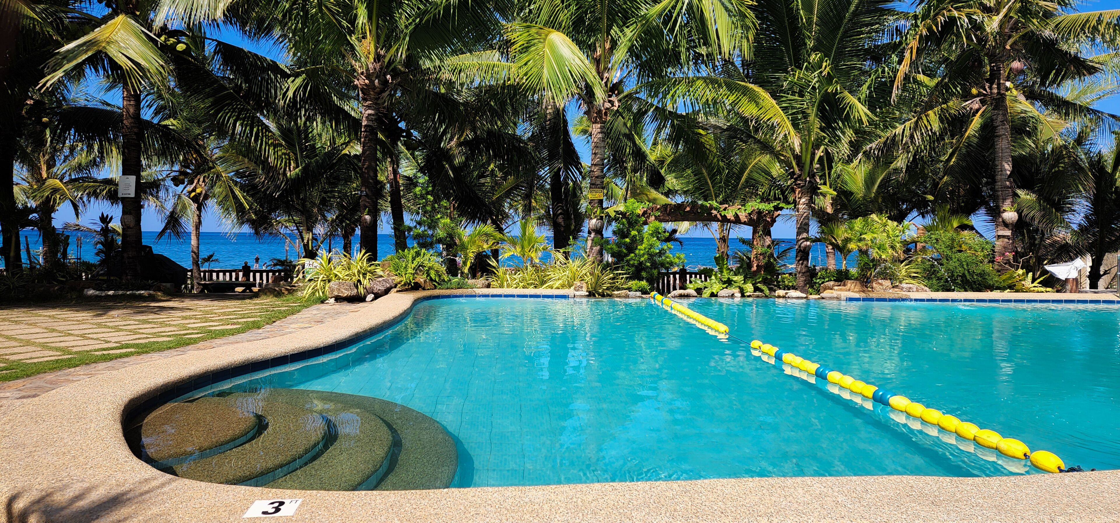 Uma piscina com água azul cristalina, rodeada por palmeiras e vista para o oceano.