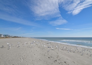 Plage