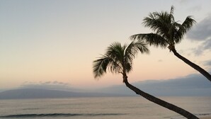 Escena de playa con palmeras y una luna en el cielo.