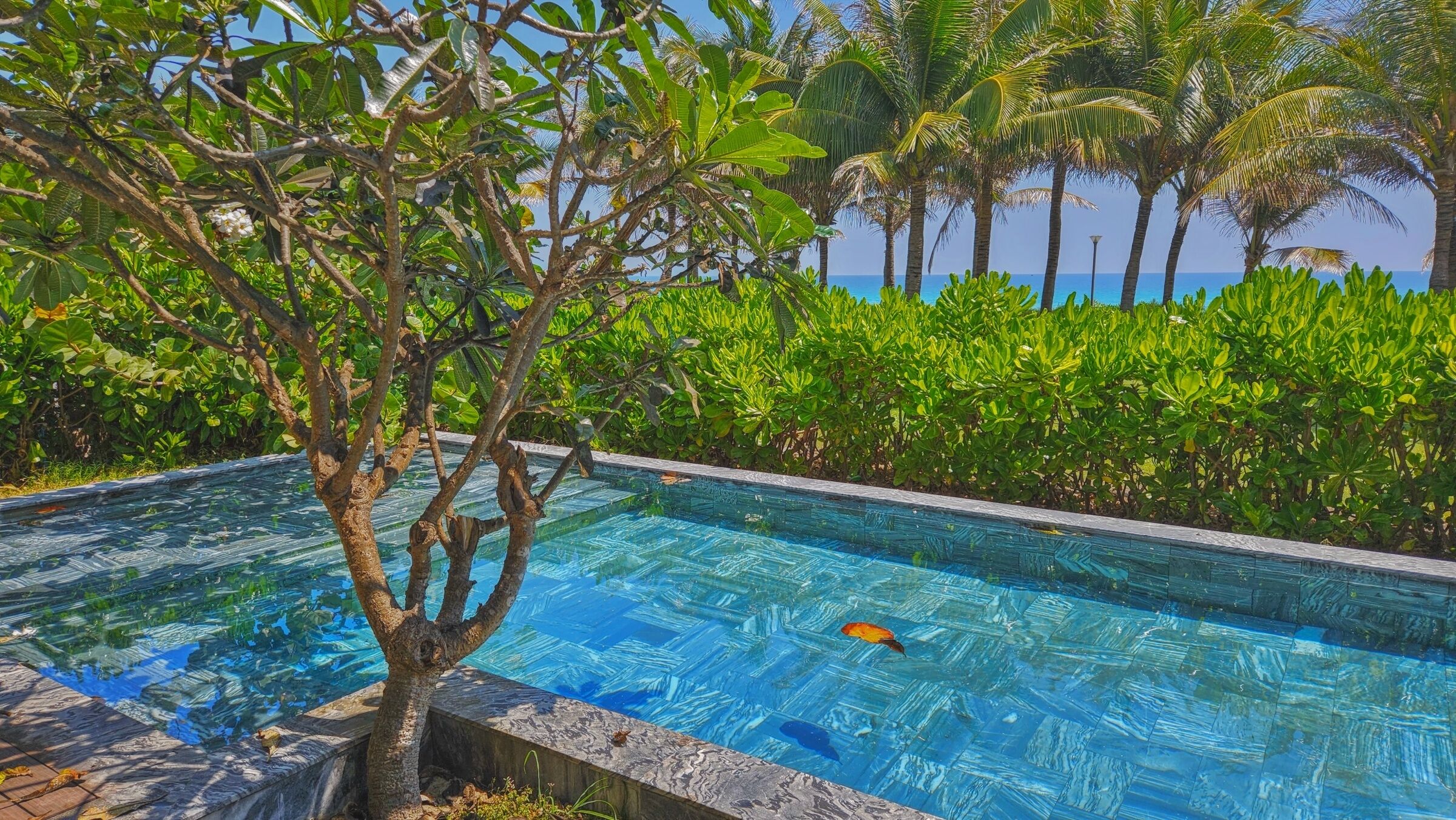 3-Bedroom Beachfront Pool Villa | View from room