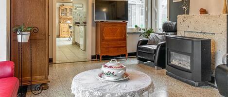 智能电视、壁炉、DVD 播放器