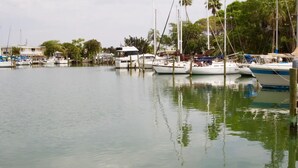 A marina with multiple boats docked, surrounded by palm trees and buildings.