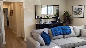 TV connectée, cheminée, livres