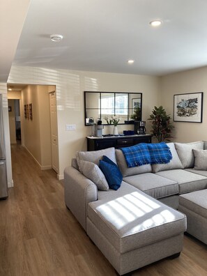 Smart TV, fireplace, books