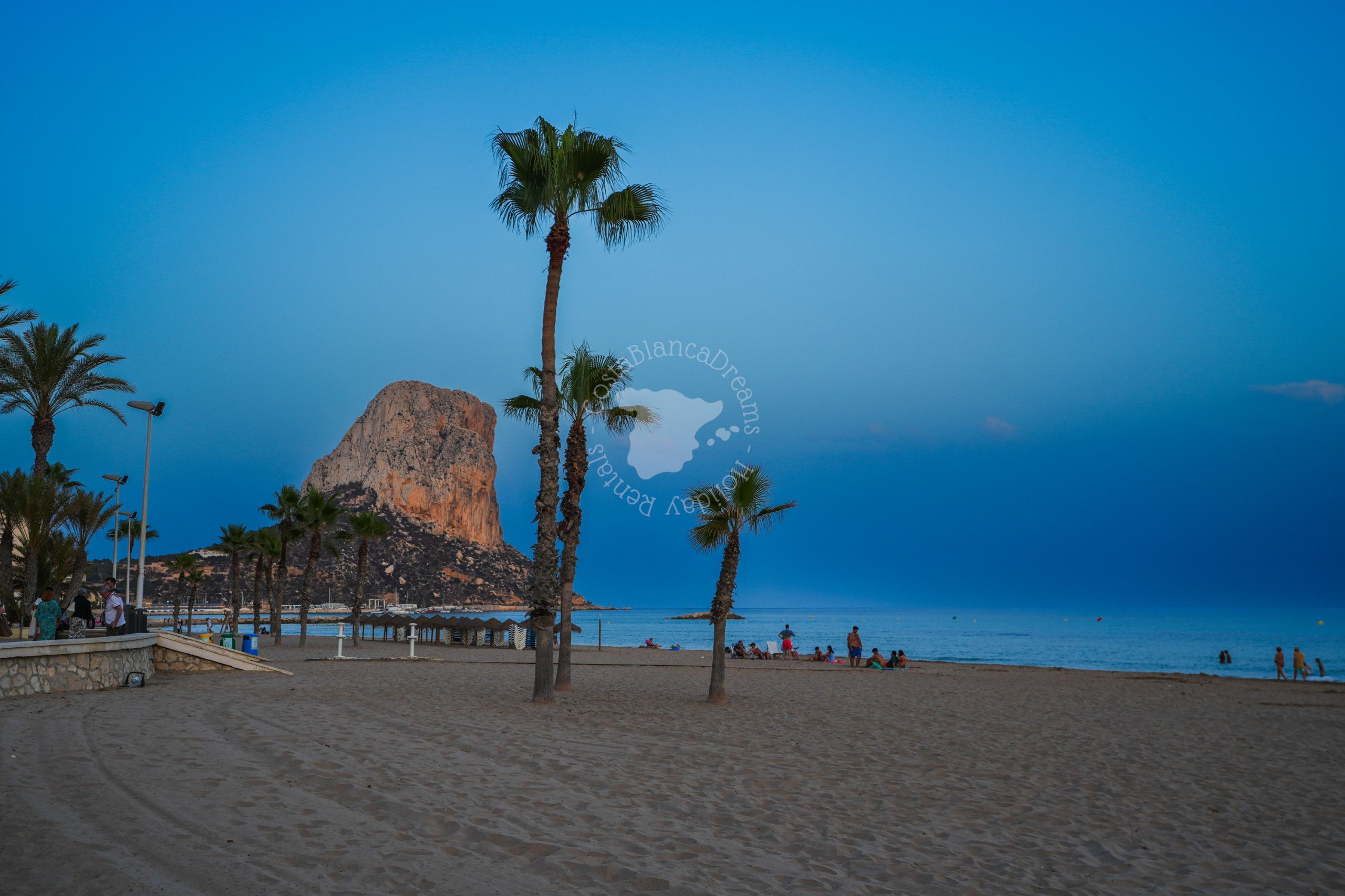 A beach with palm trees, a rocky outcrop, and the sea.