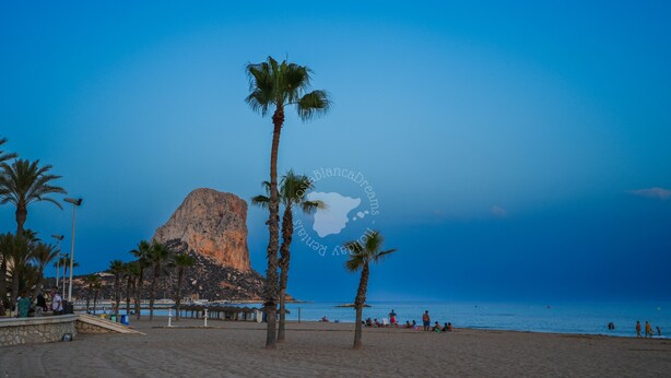 A beach with palm trees, a rocky outcrop, and the sea.