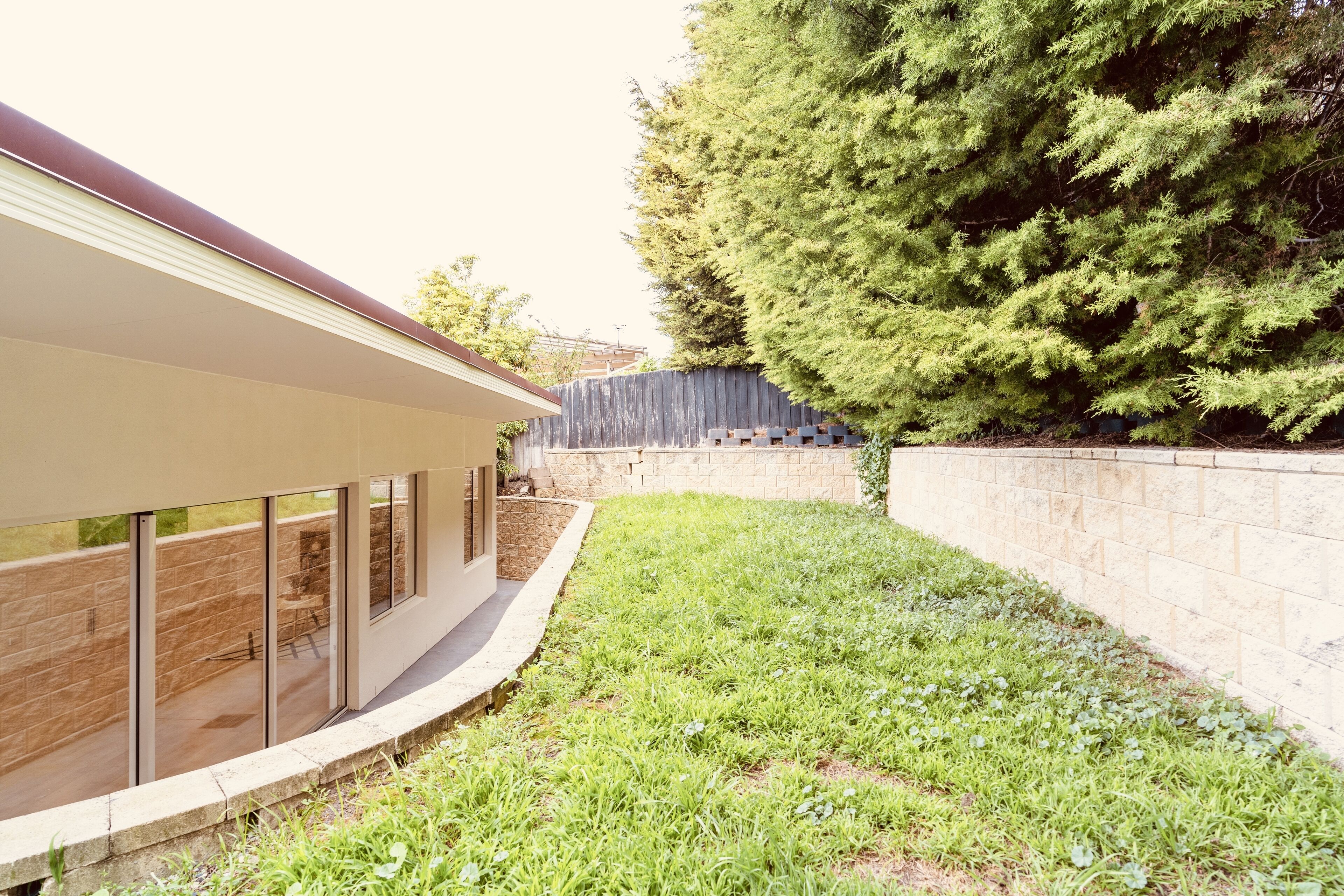 A modern building with large windows, a stone retaining wall, and a grassy area with a tree.