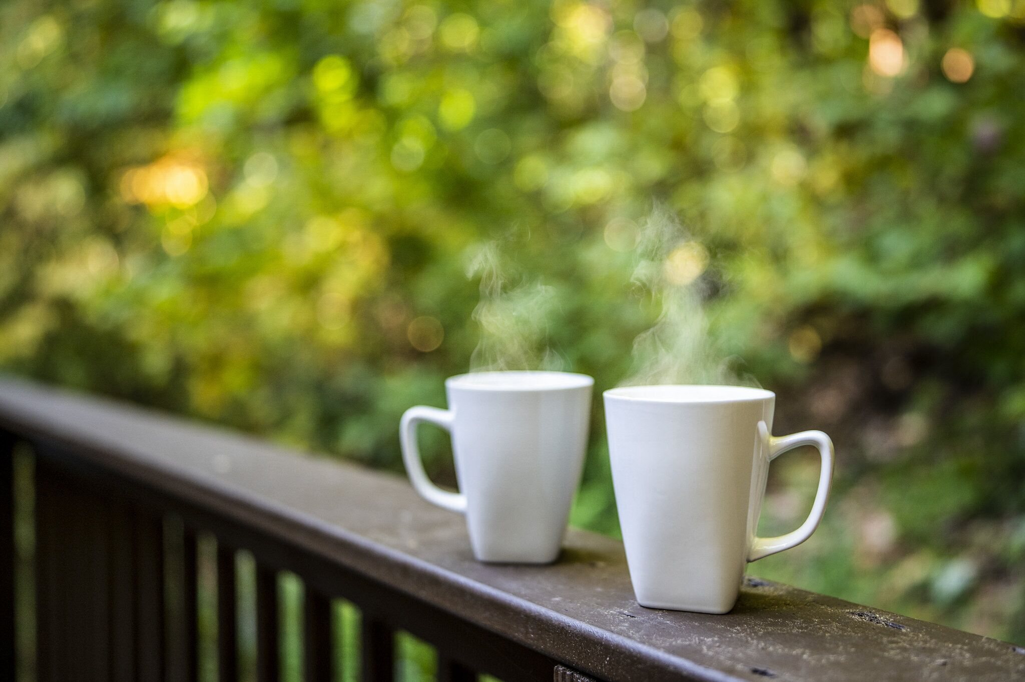 Deux tasses en céramique blanche, posées sur une rambarde en bois, d’où s’échappe de la vapeur, le tout sur un fond vert flou.