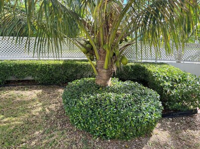 Spacious Cable Beach  condo #4 with pool near beach VRBO 
