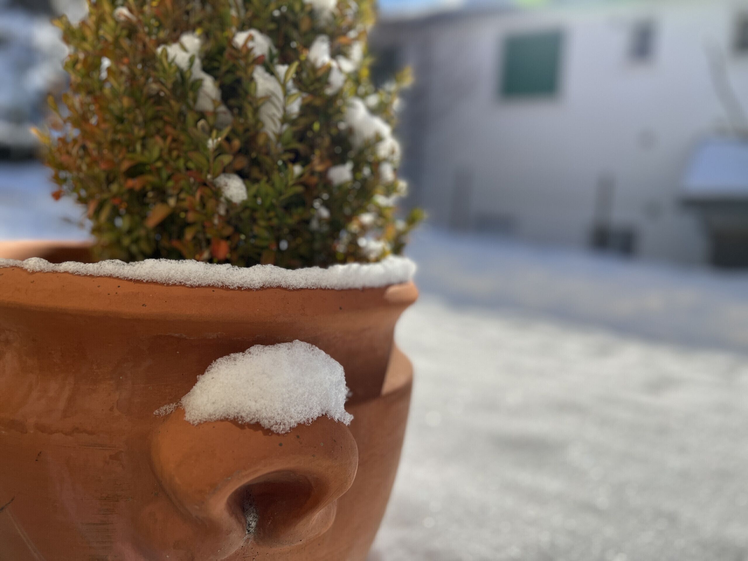 外観の詳細