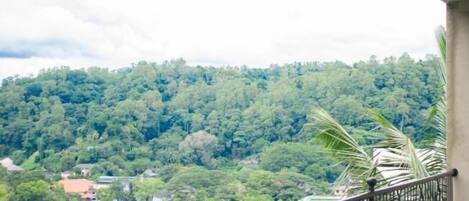 Deluxe tweepersoonskamer | Terras