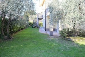 A courtyard with a pathway leading to a building, surrounded by olive trees and a well-maintained lawn.