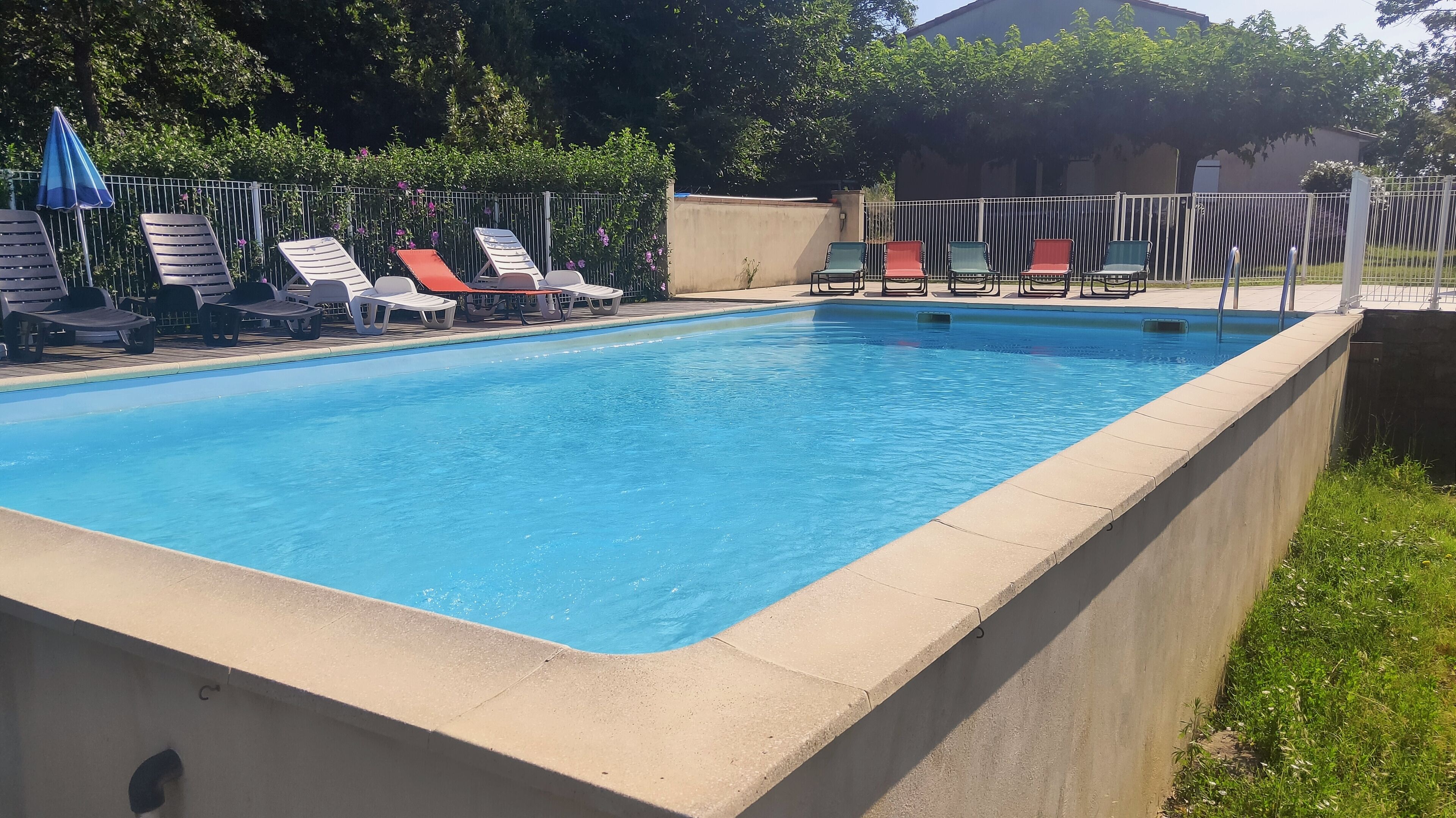 A rectangular swimming pool with a concrete edge, surrounded by a metal fence.