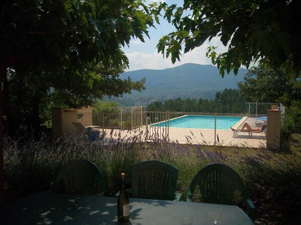 A pool with a view of mountains, surrounded by a fence and greenery.