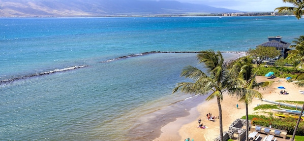 On the beach - Menehune 106 Ocean Views in Updated Condo Home (Kihei)