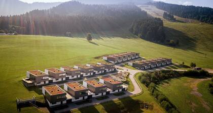 Attractive chalet with sauna