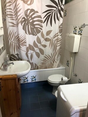 Bidet - Entire house with a panoramic view (Montan-angelin-arensod)