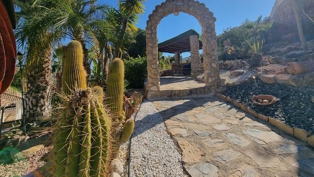 Un sendero de piedra que conduce a un área cubierta con un arco de piedra, rodeado de cactus y palmeras.