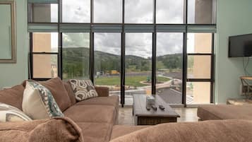 Télévision, cheminée, livres, espaces bureaux