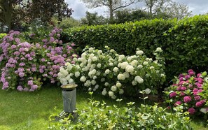 Property grounds - De Toekomst 112 quiet and privately situated near the North Sea (Ouddorp)