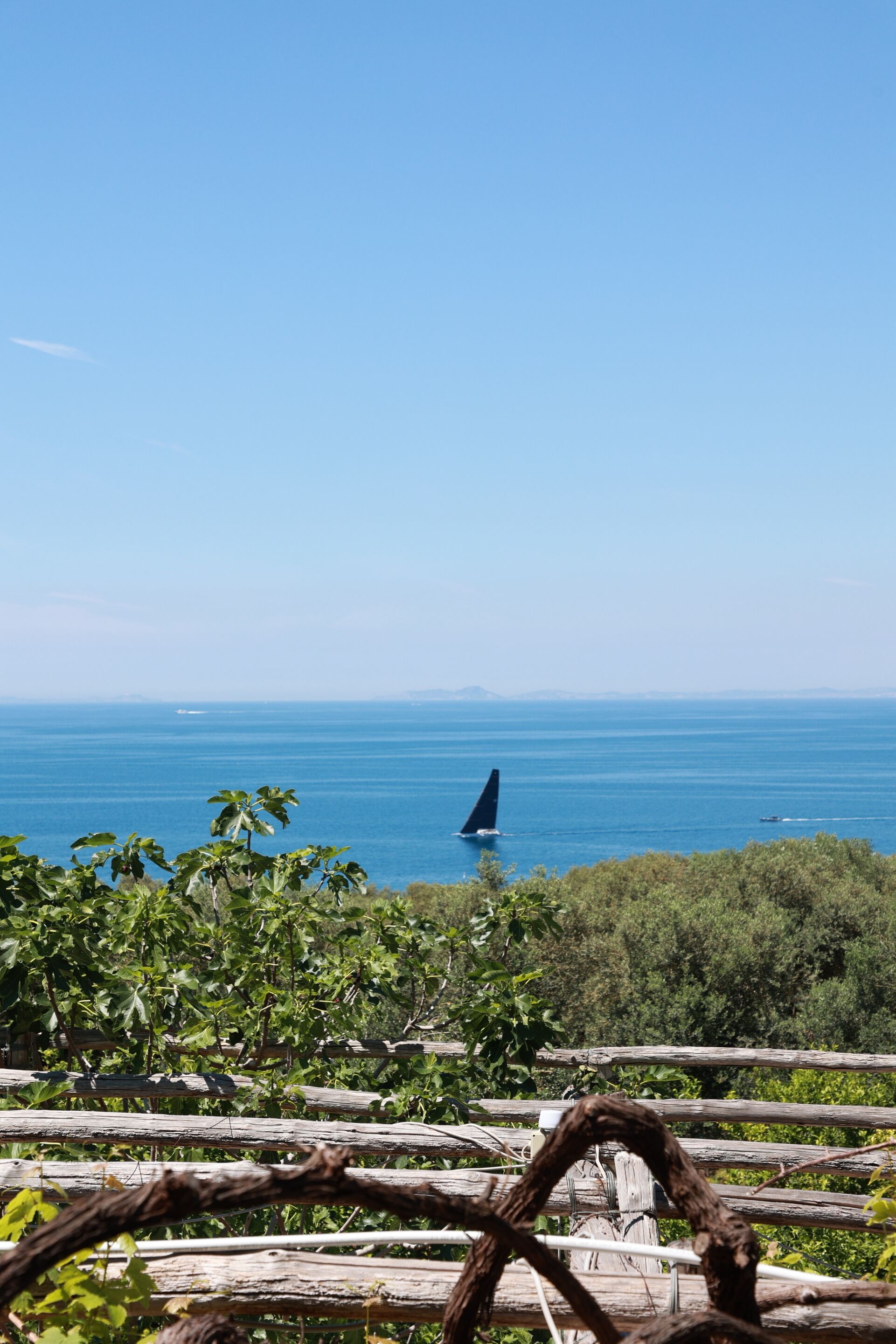 Foto - Villa Puolo - Sorrento