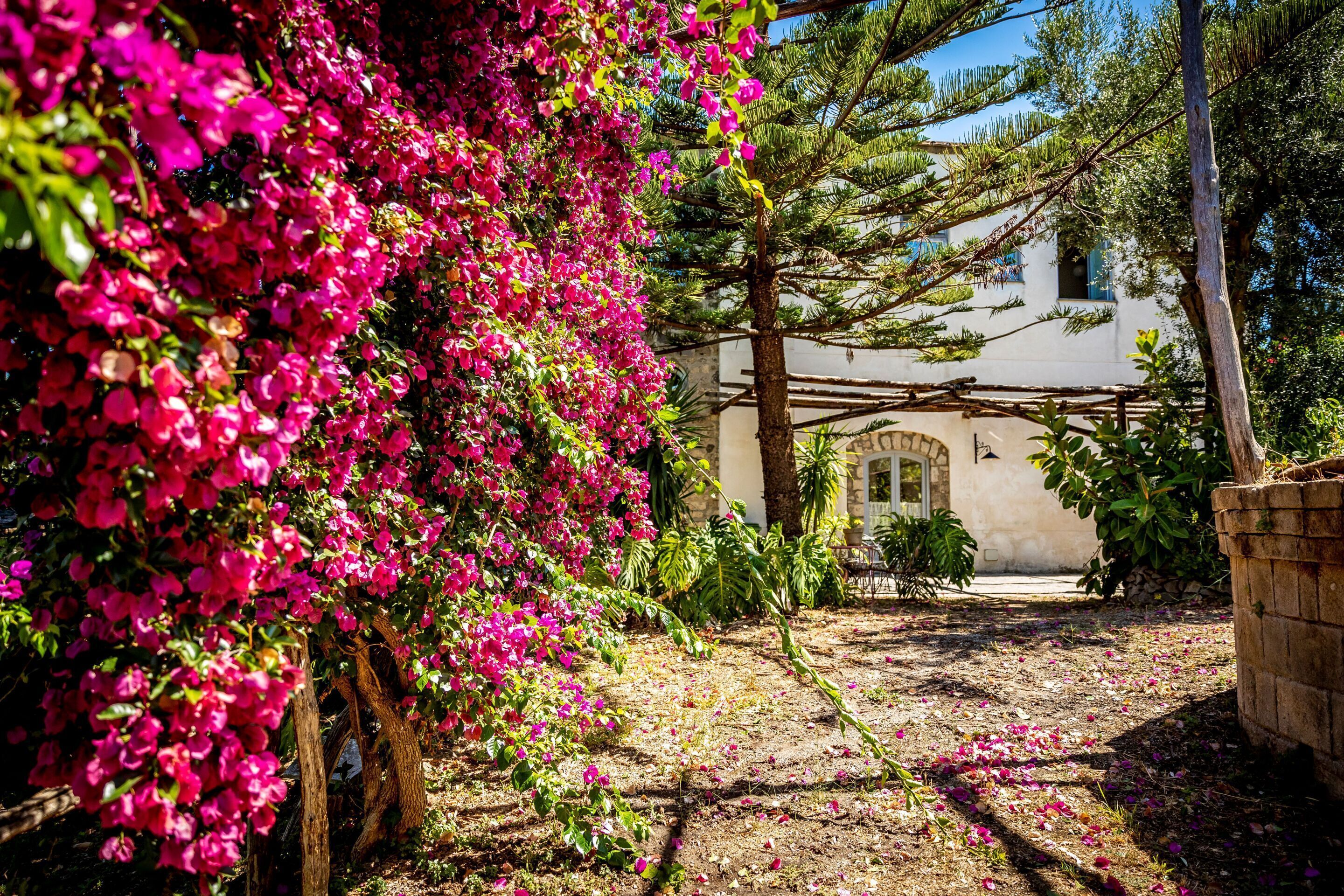 Foto - Villa Puolo - Sorrento