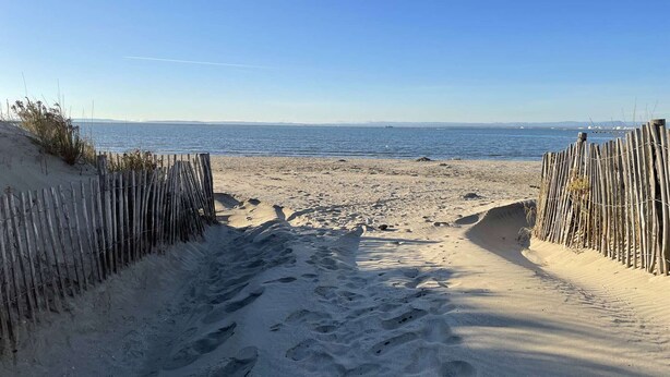 A sandy beach path leading to the ocean with wooden fences on either side.