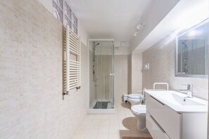 Shower, hair dryer, bidet, towels