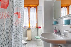 Combined shower/tub, hair dryer, bidet