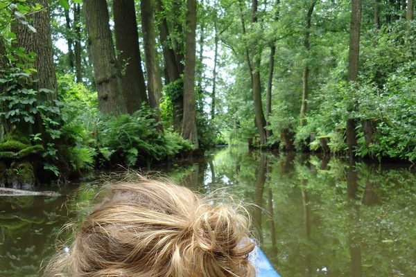 Spreewaldpension Beesk - Paddelimpressionen