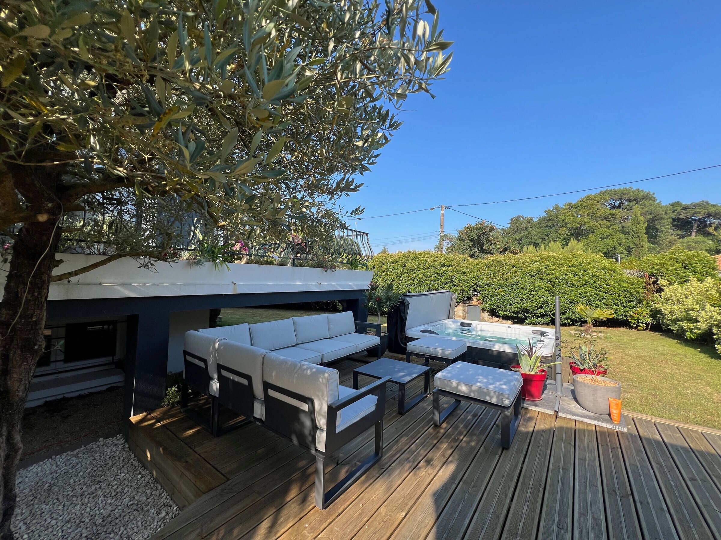 テラス / パティオ