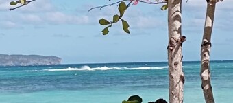 Casas Yudy Your special corner in Samaná!