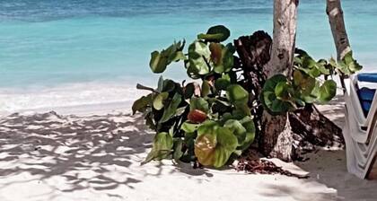 Casas Yudy ¡Tú rincón especial en Samaná!