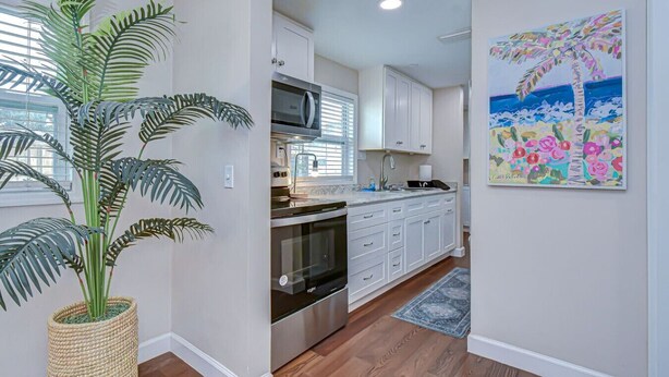 A modern kitchen with white cabinets, stainless steel appliances, and a large potted plant.