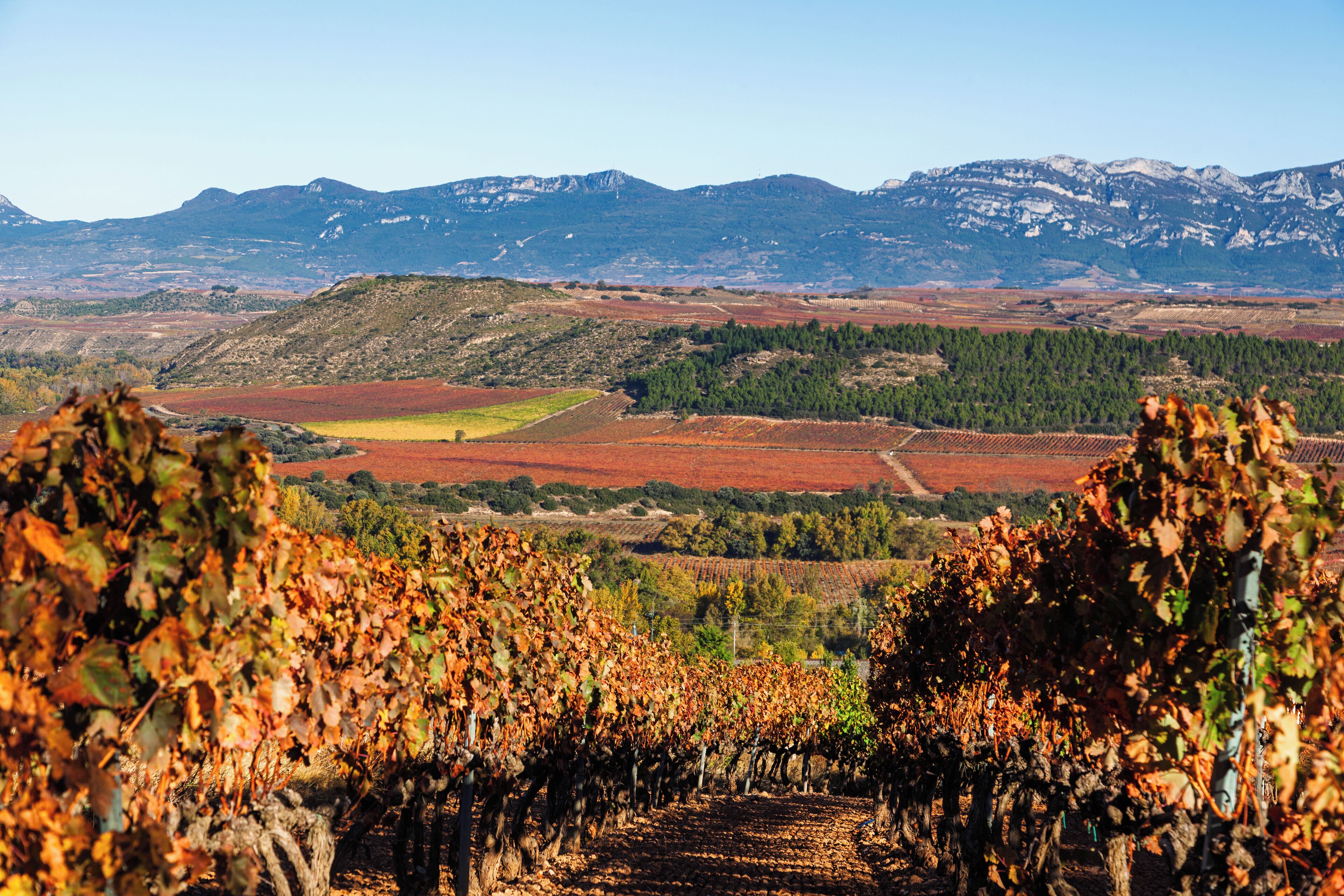 Foto - DWO Rioja Wine Hotel