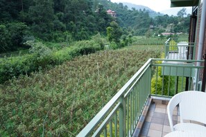 Un balcon offrant une vue sur un paysage verdoyant et luxuriant ainsi que sur des bâtiments situés au loin.