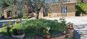 المنطقة المحيطة بالمنشأة