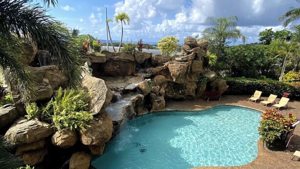 Ein Pool mit einer natürlichen Felsformation und Palmen.