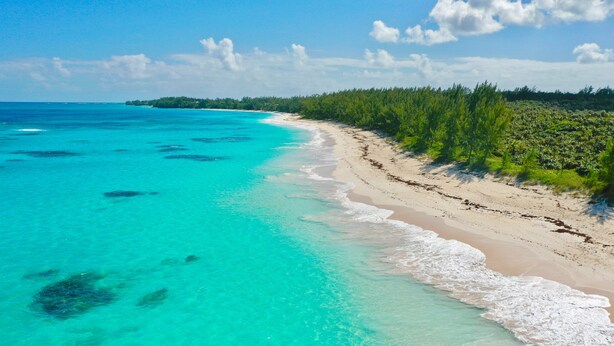 A beach with clear turquoise waters and a sandy shore lined with dense greenery.