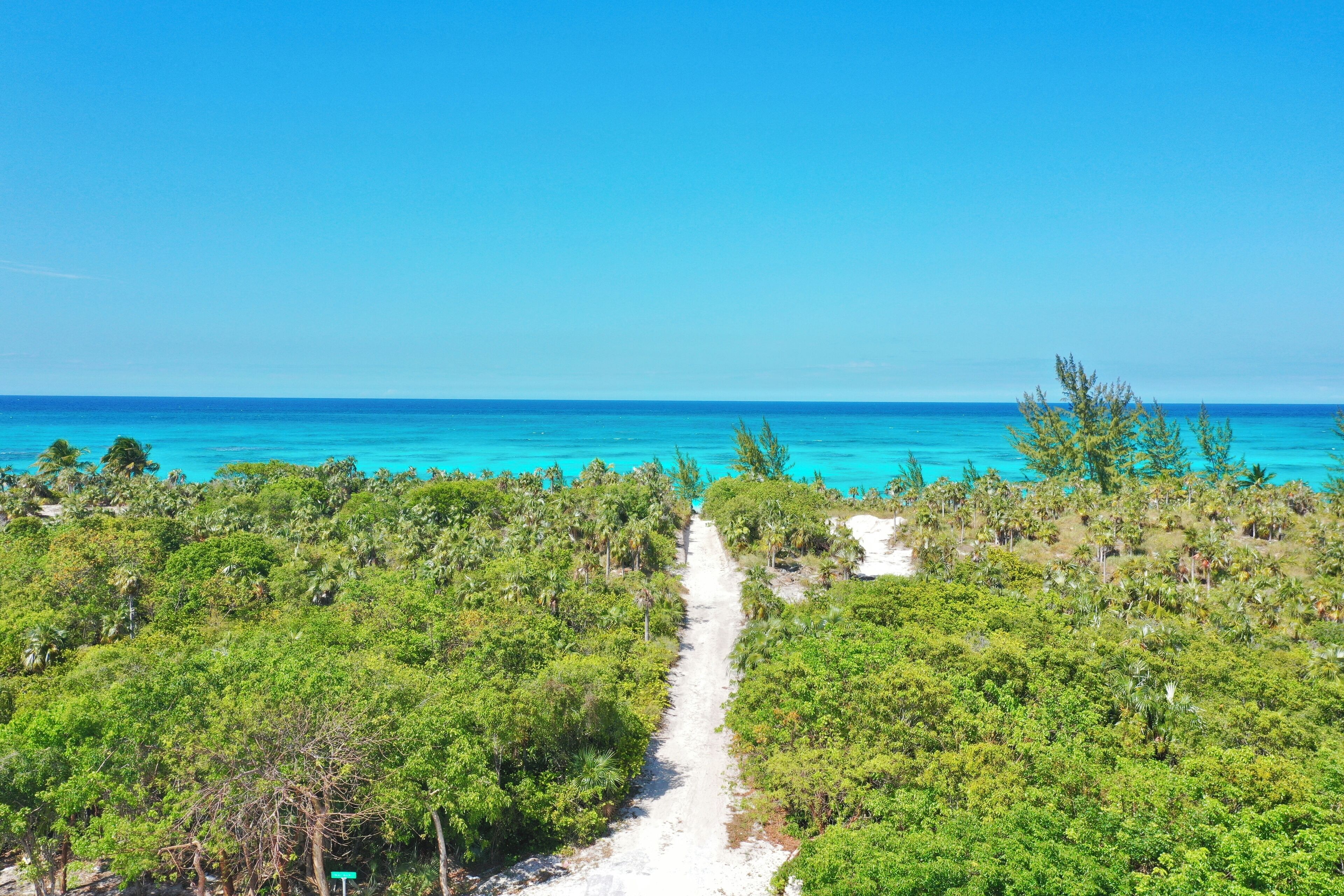 A pathway through a dense tropical forest leading to a beach.