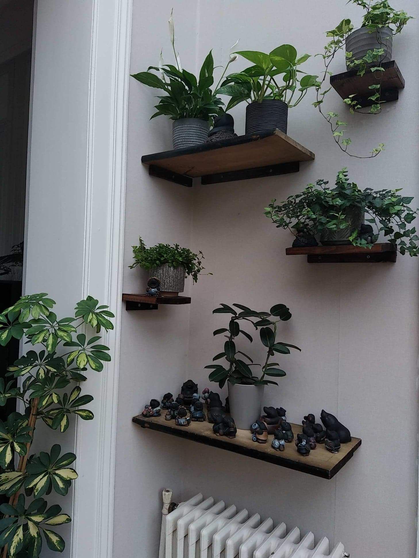 A wall with multiple shelves holding potted plants and figurines.