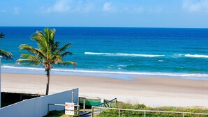 Una playa con una palmera, una cerca y un cartel que indica 'North Ave. Palm Beach'.