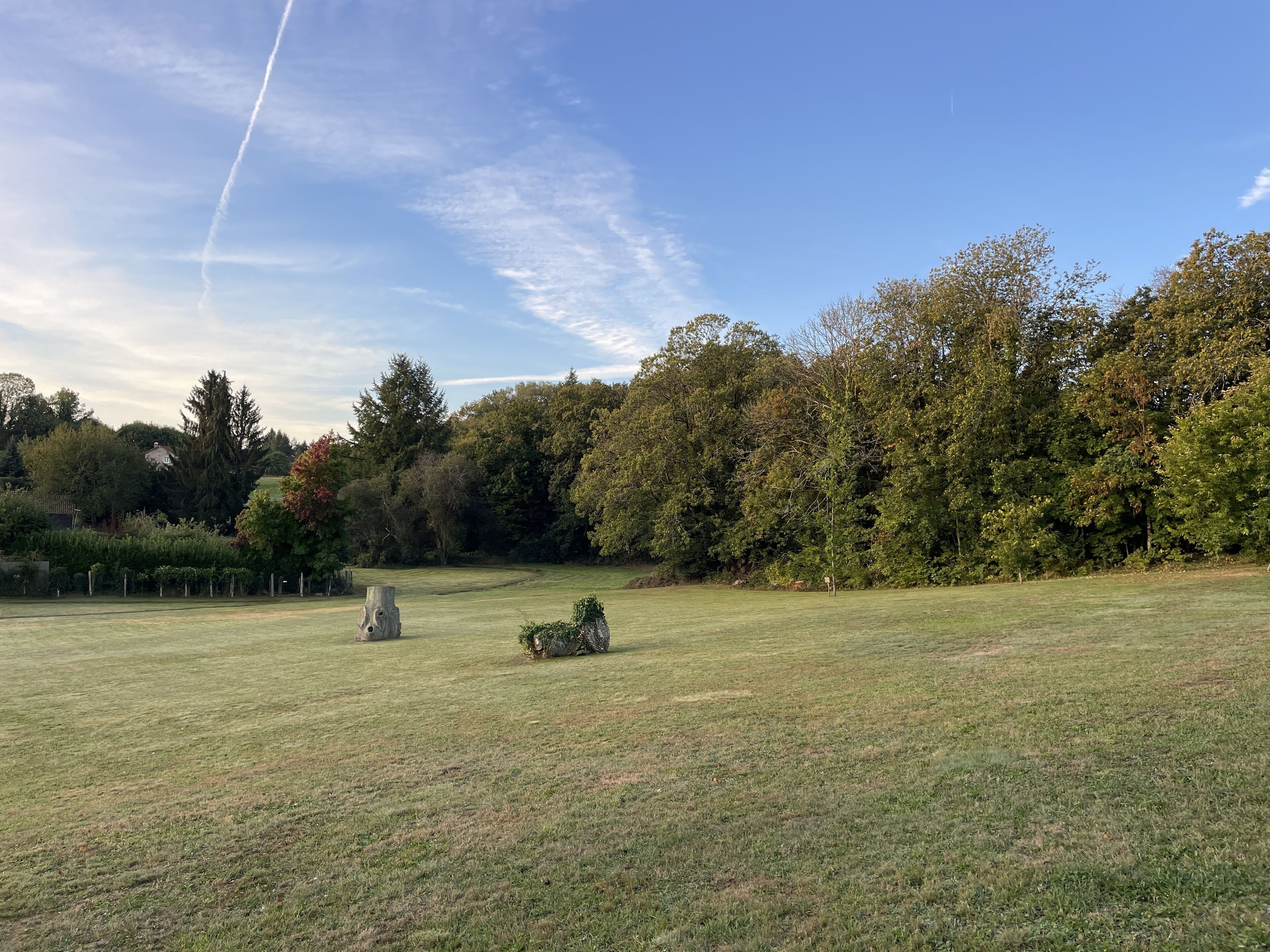 Ein grünes Feld mit Bäumen und einem Haus im Hintergrund.