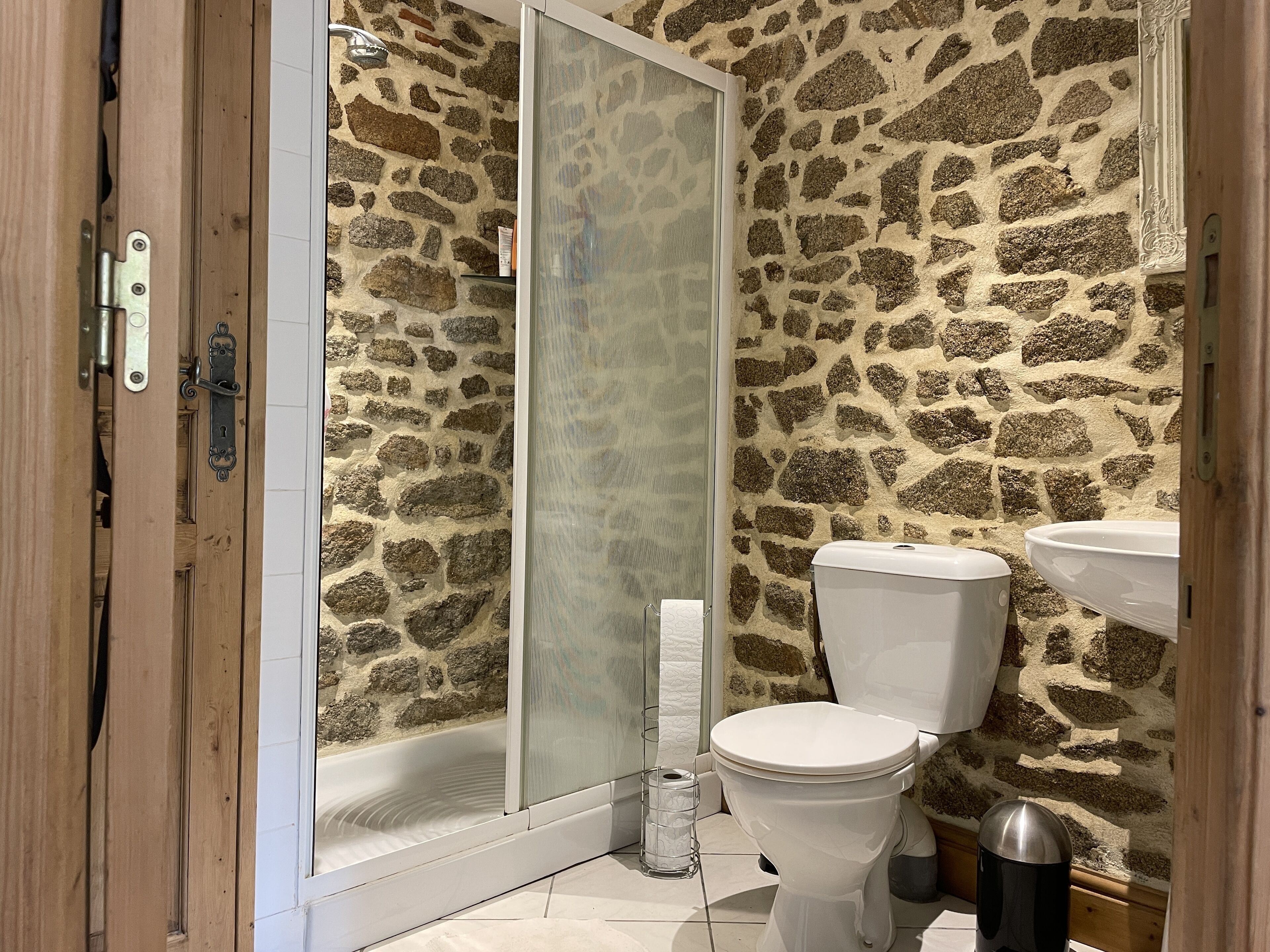 Une salle de bain avec un mur en pierre, une douche en verre, des toilettes et un lavabo.