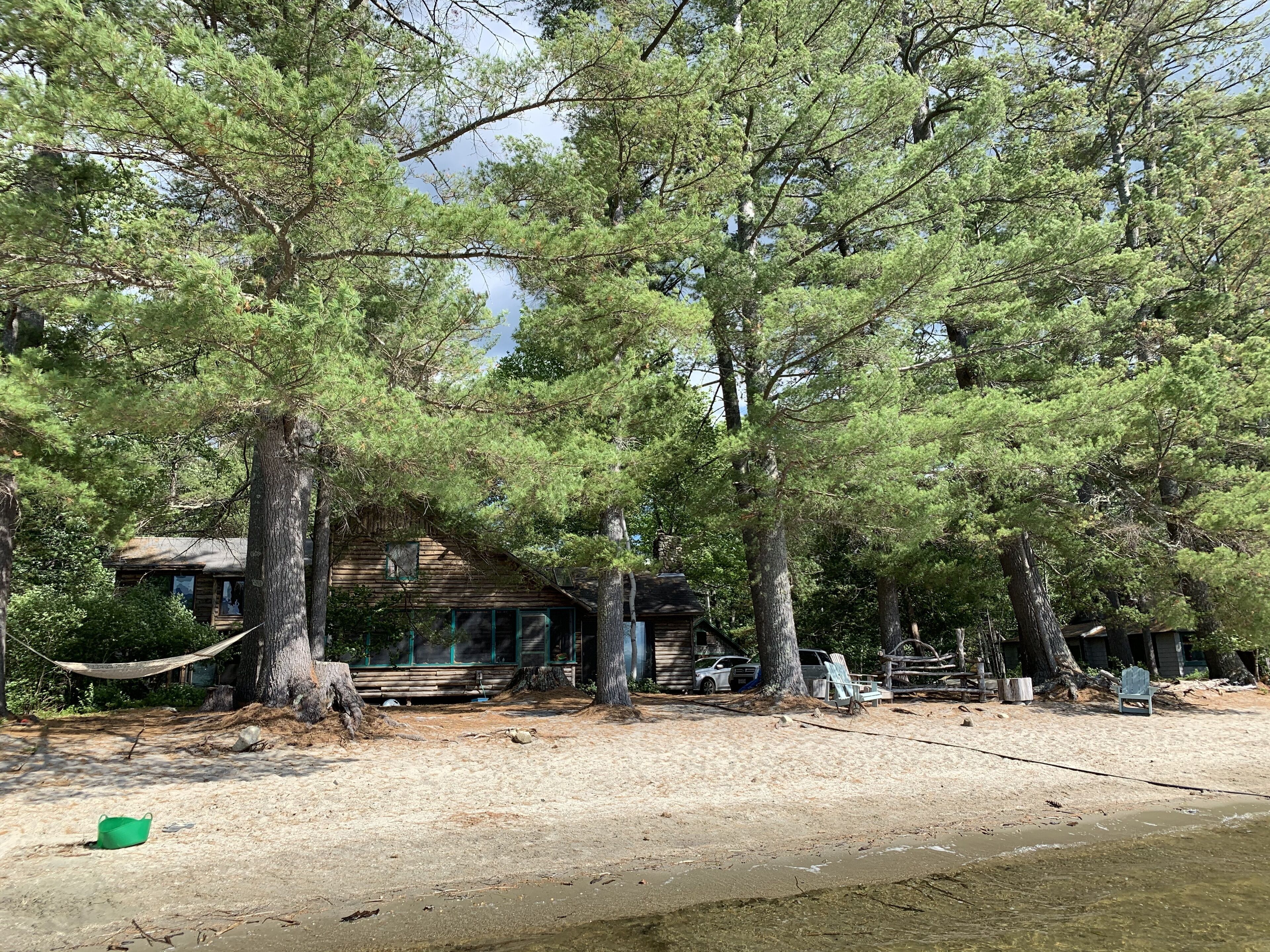 A rustic cabin surrounded by tall pine trees, a hammock, and a sandy beach area with a green bucket.