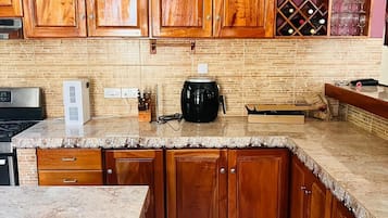 Luxury House | Private kitchen | Full-sized fridge, dishwasher, cookware/dishes/utensils